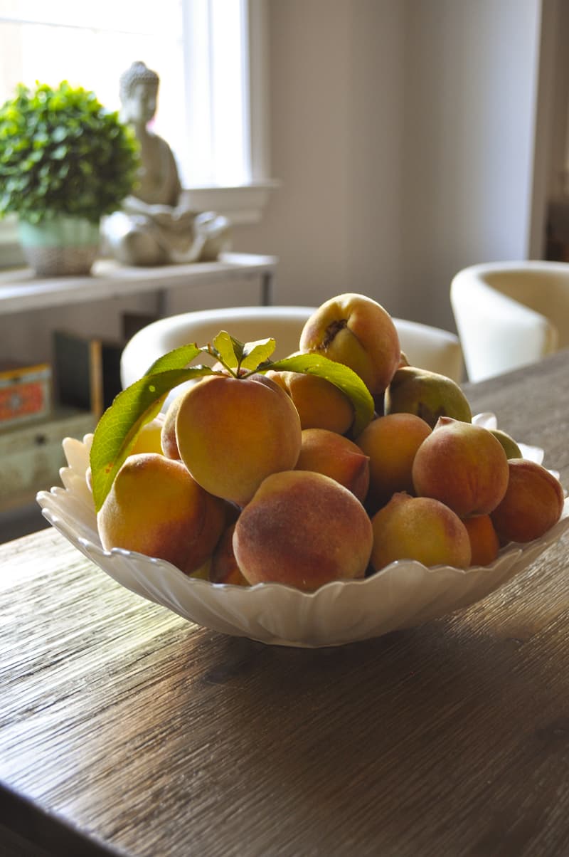 Peaches for Peach Popsicles