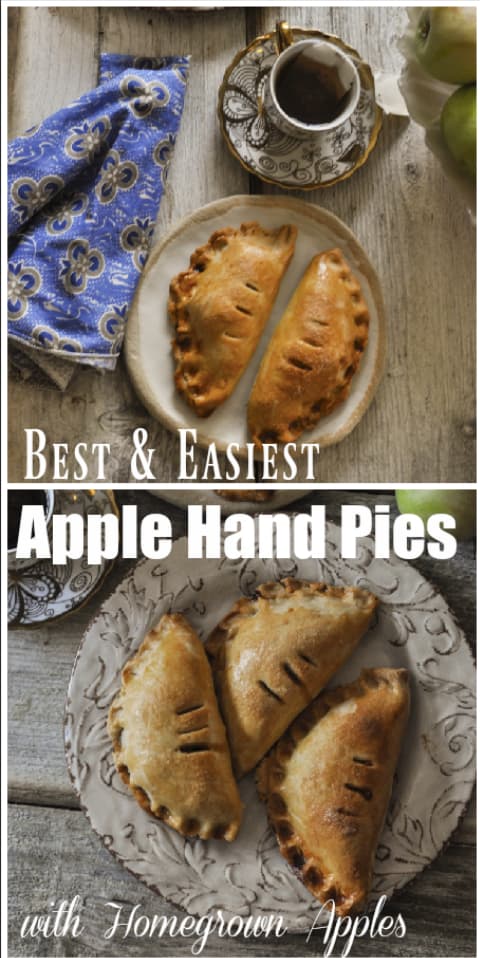 Apple Hand Pies with Home Grown Apples